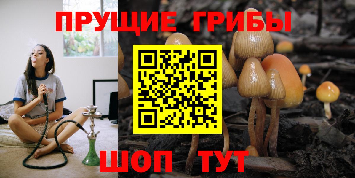 Галлюциногенные грибы Psilocybe  наркота  Зеленогорск  Галлюциногенные грибы Psilocybe  Вход с VPN 