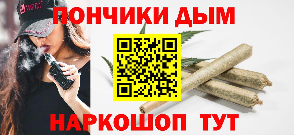 Бошки Шишки планчик Зеленогорск